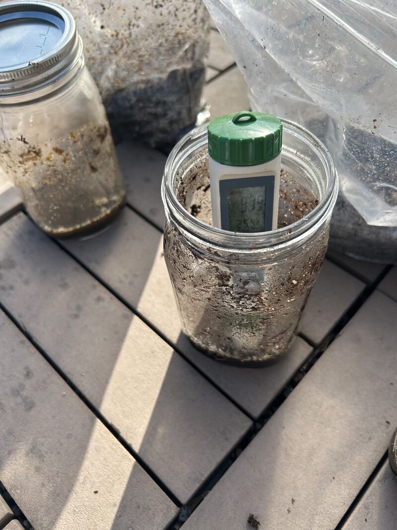 A handheld sensor standing in a jar of soil and water, with its screen showing a reading